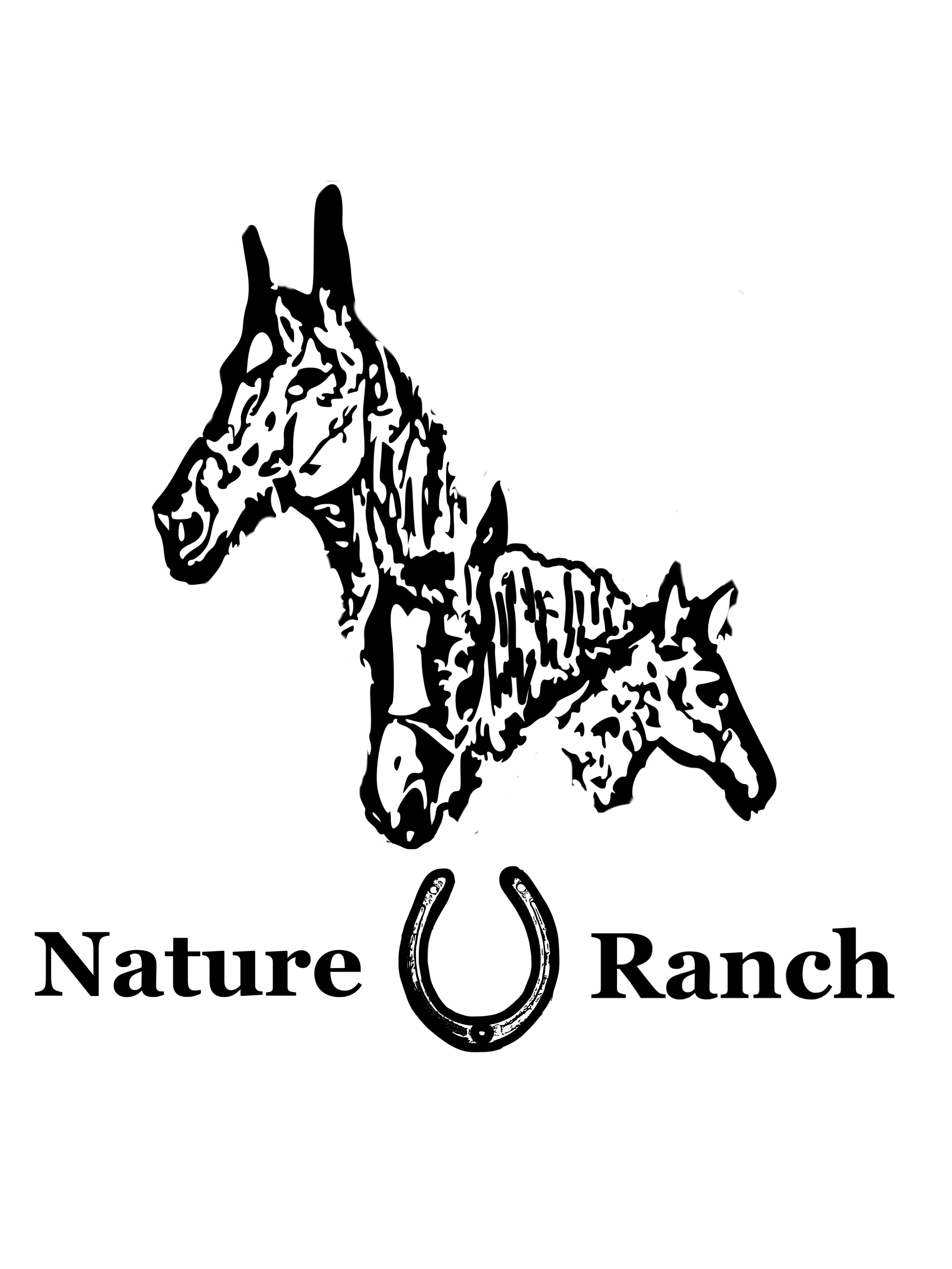 Image Title My Image